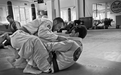 Sweat à Capuche BJJ Pour Combattant De Jiu Jitsu Brésilien - Idée Cadeau Arts Martiaux