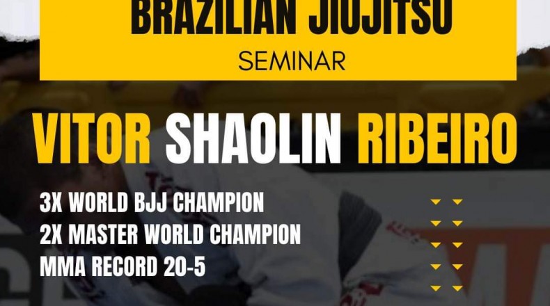 Vitor Shaolin Ribeiro Seminar